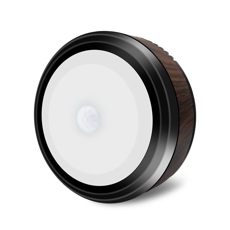 Intelligent human body sensor light, will send out alarm sound night light